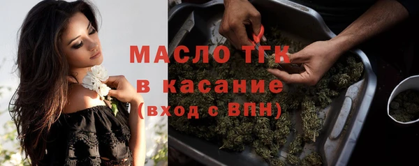 хмурый Арсеньев