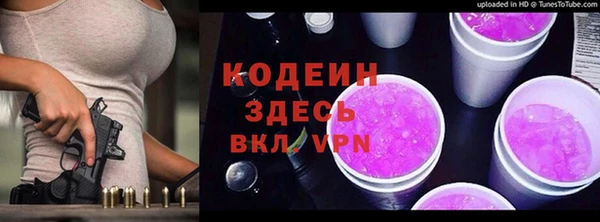 хмурый Арсеньев