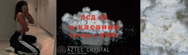 хмурый Арсеньев