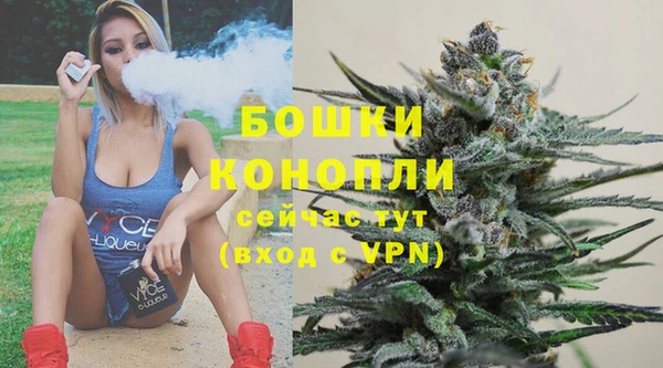 хмурый Арсеньев