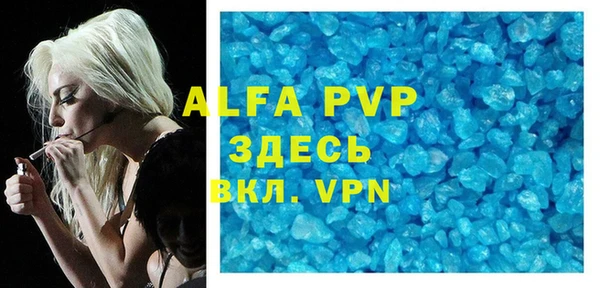 хмурый Арсеньев